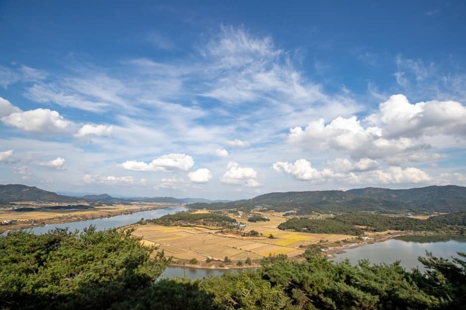 경북_상주_낙동강 경천대(경천대 전망대) (1)