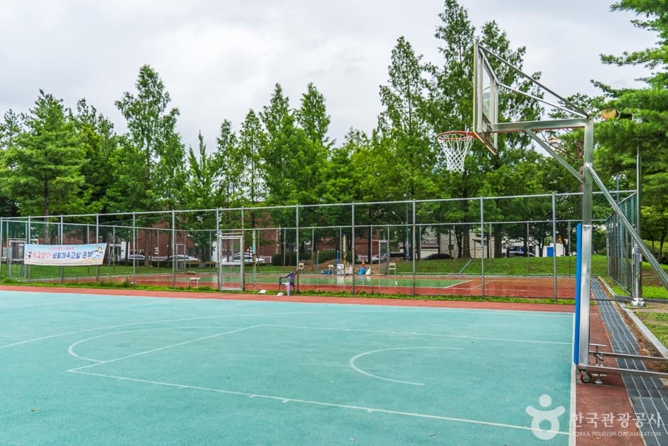대가미체육공원 (7)