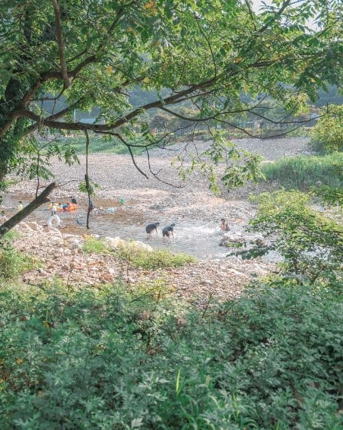 영월_법흥캠핑장 (6)