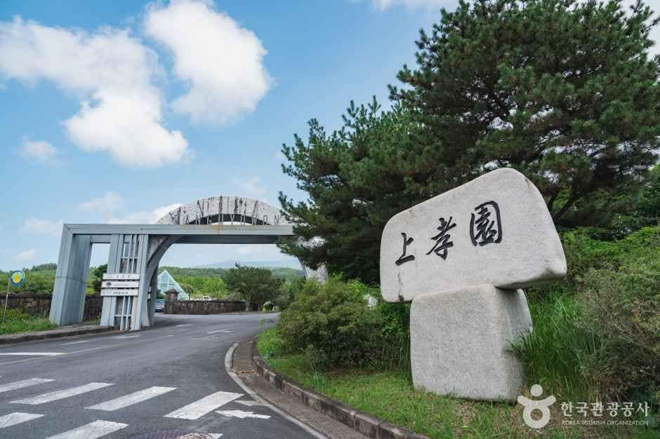 상효원