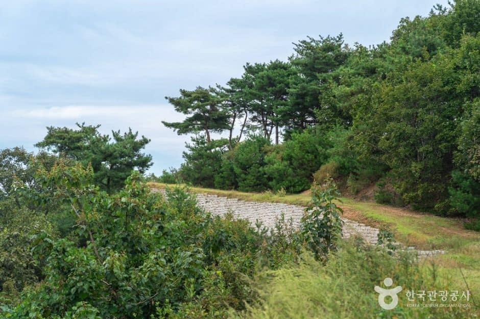 충주_충주 장미산성 (4)