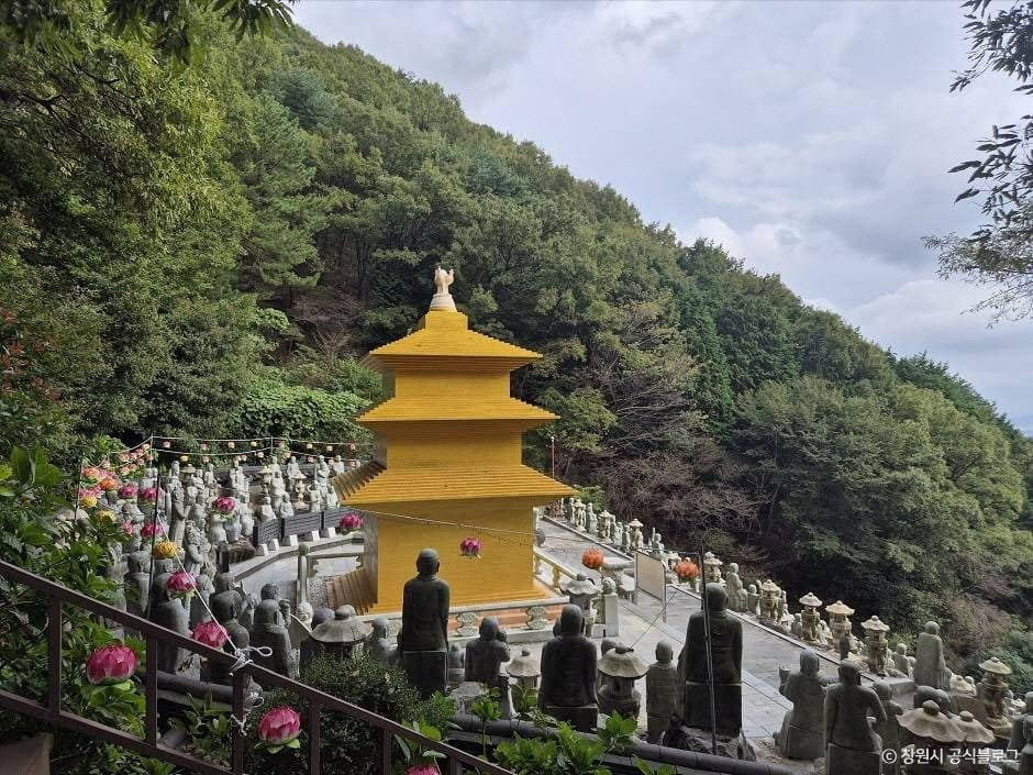 창원_삼밀사 (8)