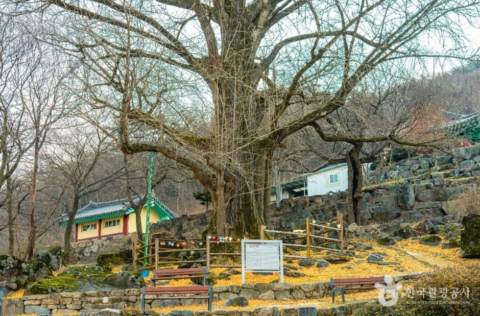거창_연수사(거창) (7)