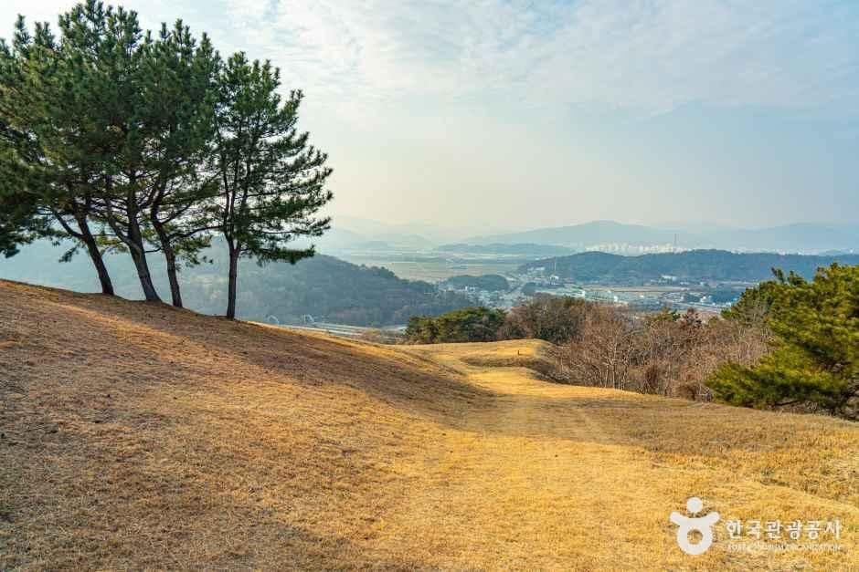 순천_순천 검단산성 (6).jpg