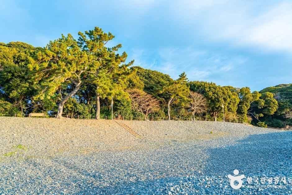 완도_미라리해수욕장 (2).jpg