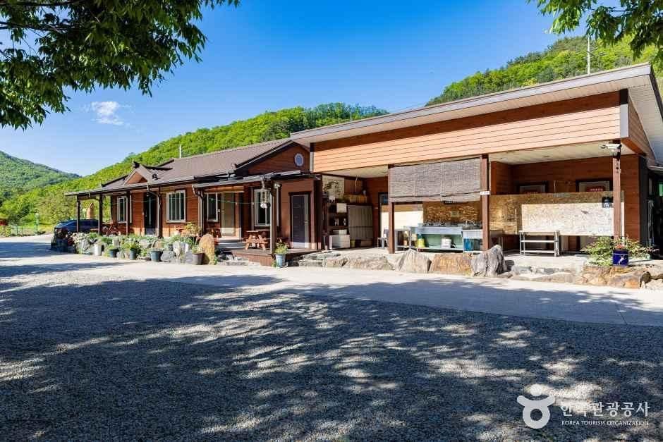 영동_별밤펜션 캠핑장 (6).jpg