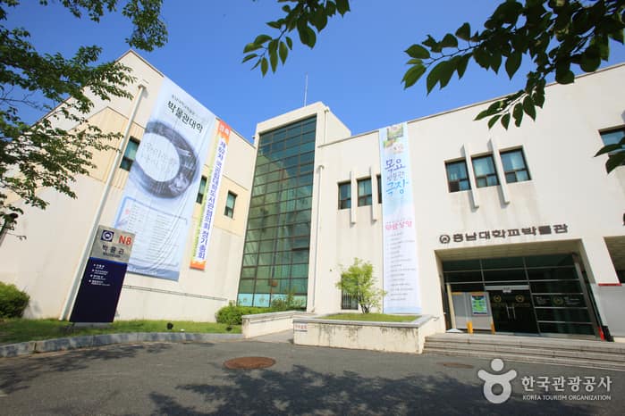 충남대학교박물관_03
