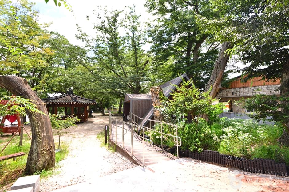 전남_화순_화순동복연둔리숲정이 (14)