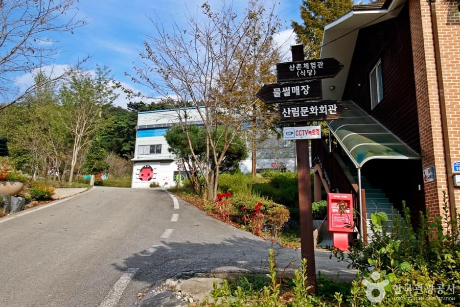 남천리 산촌생태마을 (5)