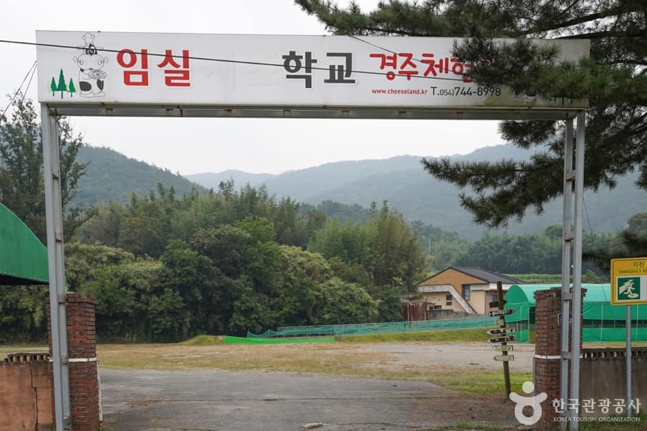 임실치즈학교 경주체험장 (2)