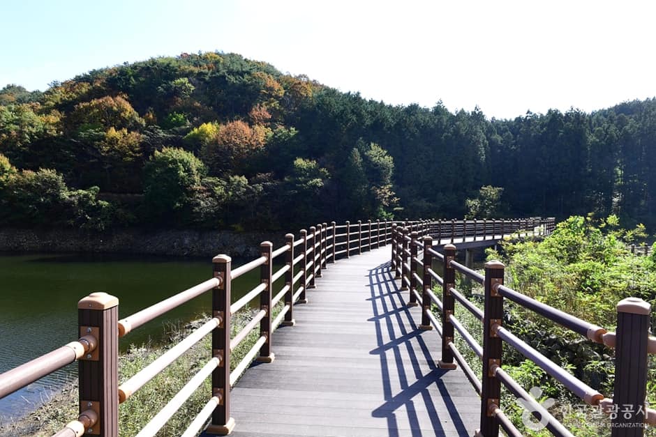 전남_장성_모암저수지 (4)