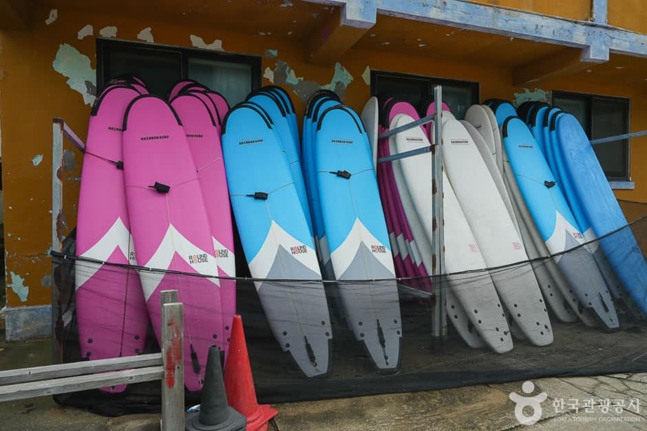 레인보우 서프 (3)