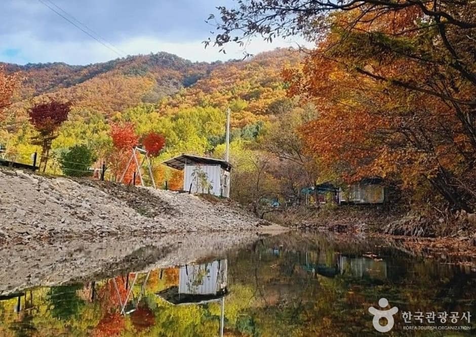 풀무산캠핑장 (1)