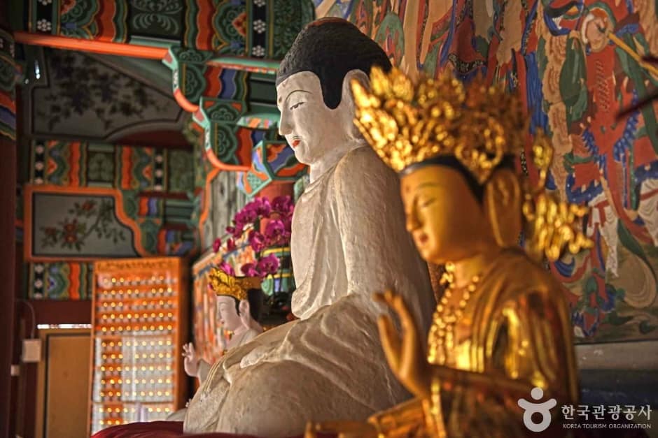 괴산 봉학사지 석조여래좌상 (5)