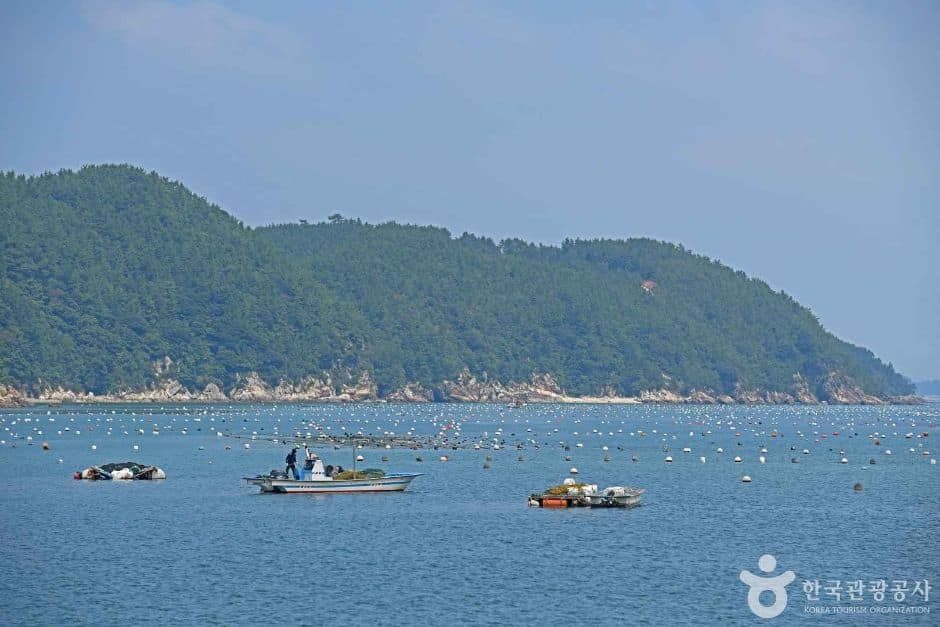 완도_약산도(조약도) (6)