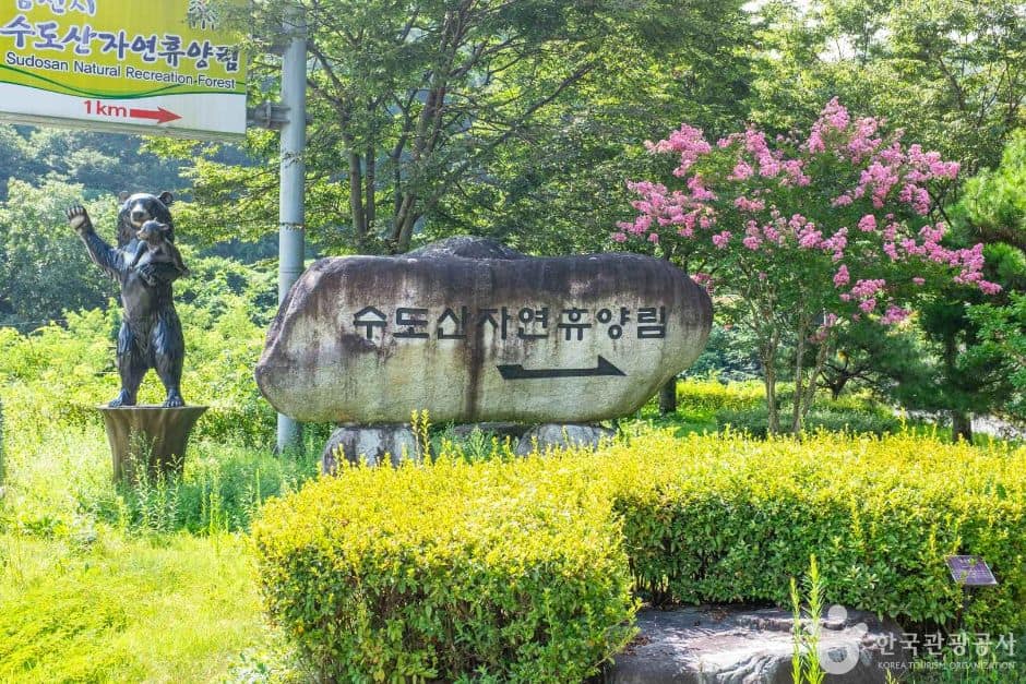 경북_김천_수도산자연휴양림 (7)