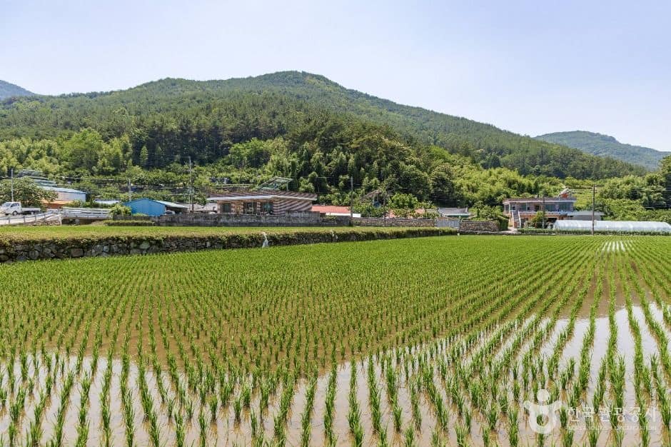 사천_사천 바리안마을 (7)