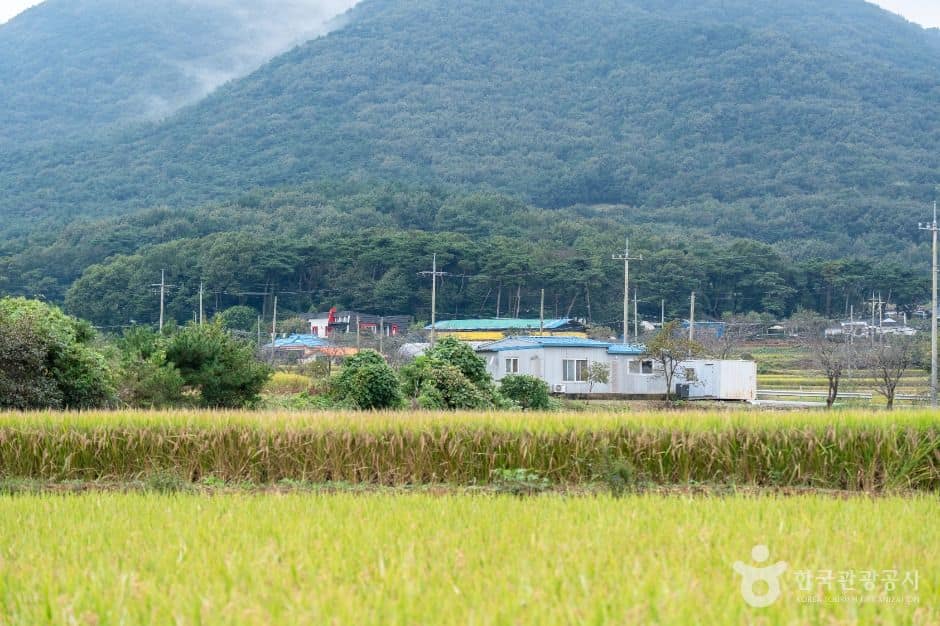 서산시_서산 회포마을 (6)