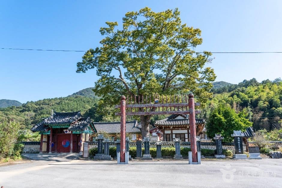 장성_장성향교 (1)