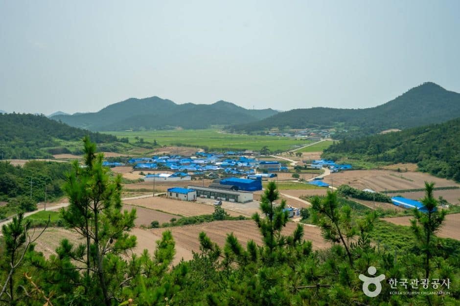 신안_비금도 내촌마을 옛 담장 (6)