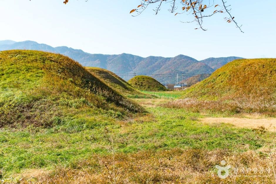 경주_경주 금척리 고분군 (2)