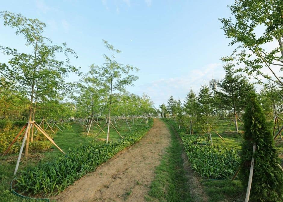 충주_충주 시민의 숲 (3)