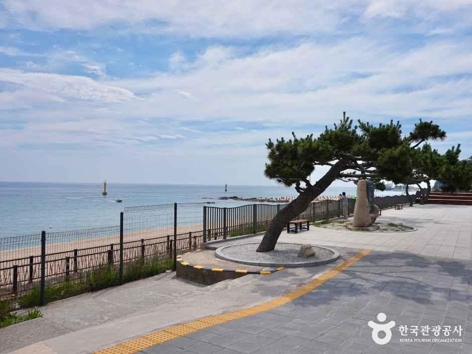 강릉_정동진역 (6).jpg
