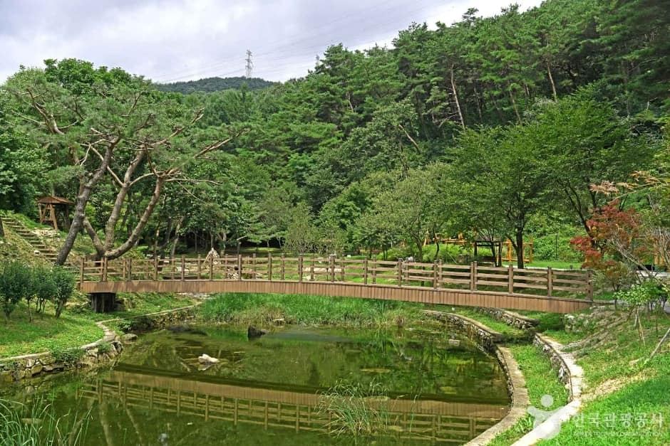 용두산 산림욕장 (2)