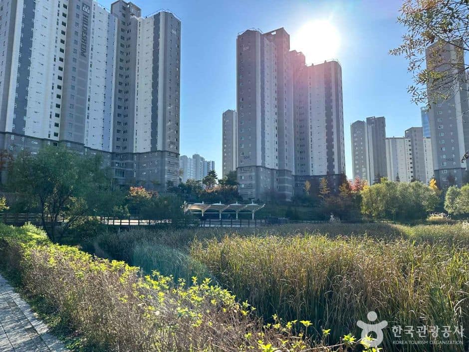 원주_두물수변공원 (1)