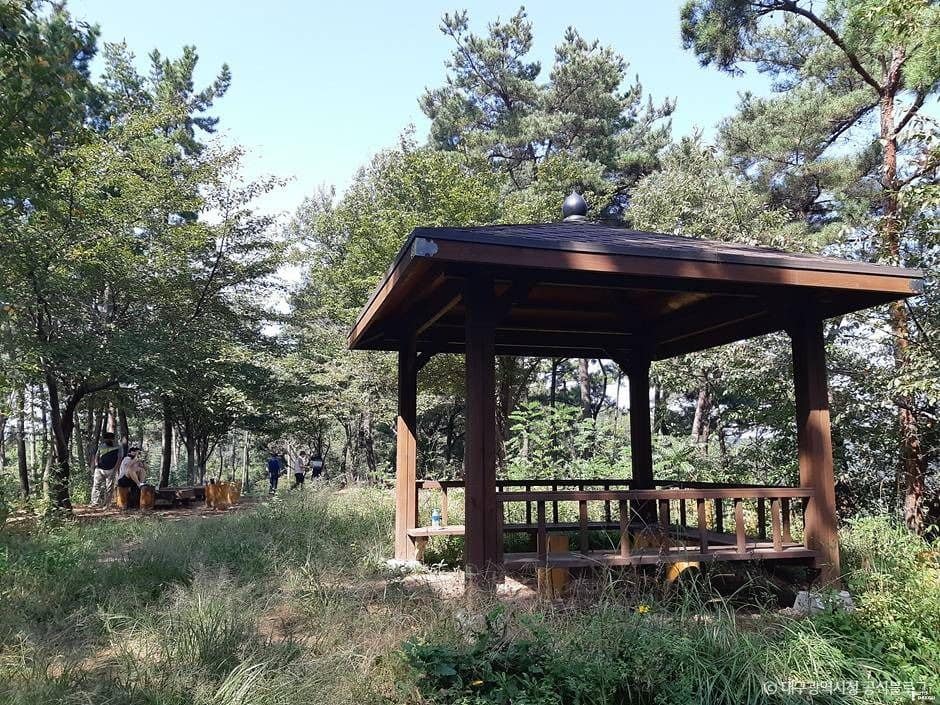 대구_마천산산림욕장 (4)