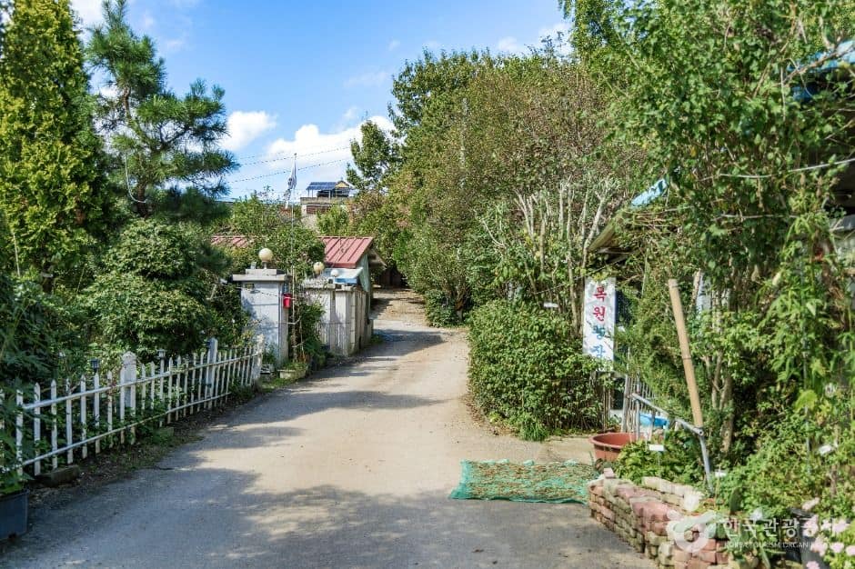 익산_익산 붕새언덕마을 (2)