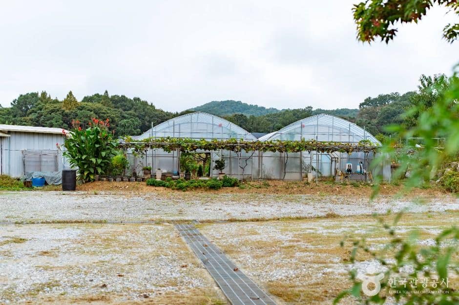 아산_음봉 꾀꼴성마을 (6)