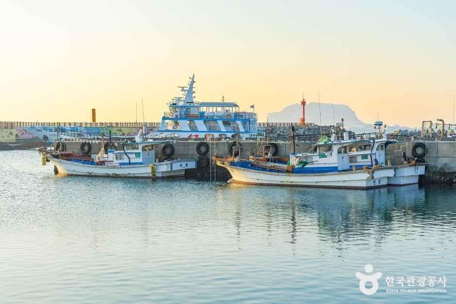 제주_종달항(두문포항) (5).jpg