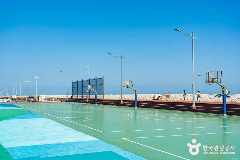 제주_탑동광장 (5).jpg