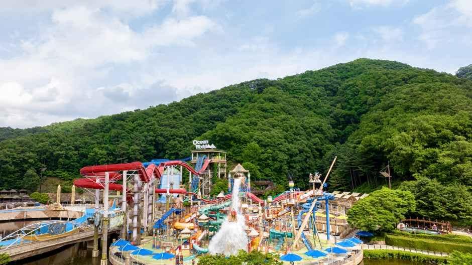 홍천_오션월드 (6).jpg