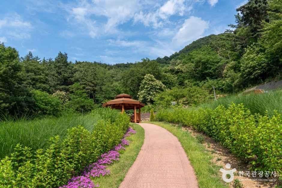 경북_경산_경산 치유의 숲_외부_03.jpg