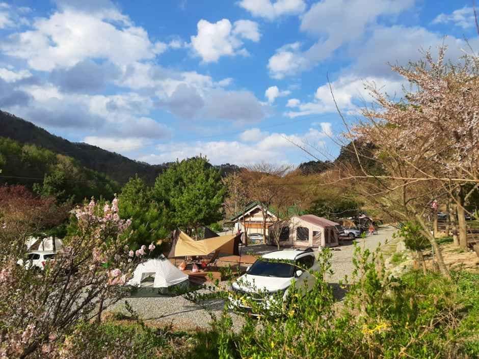 인제 연가리 오토캠핑장 (5).jpg