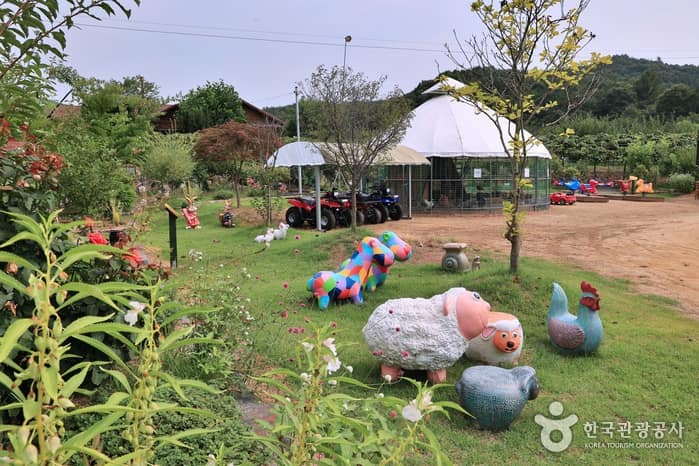 관광두레 세종 쌍류포도정원 기사 사진 4