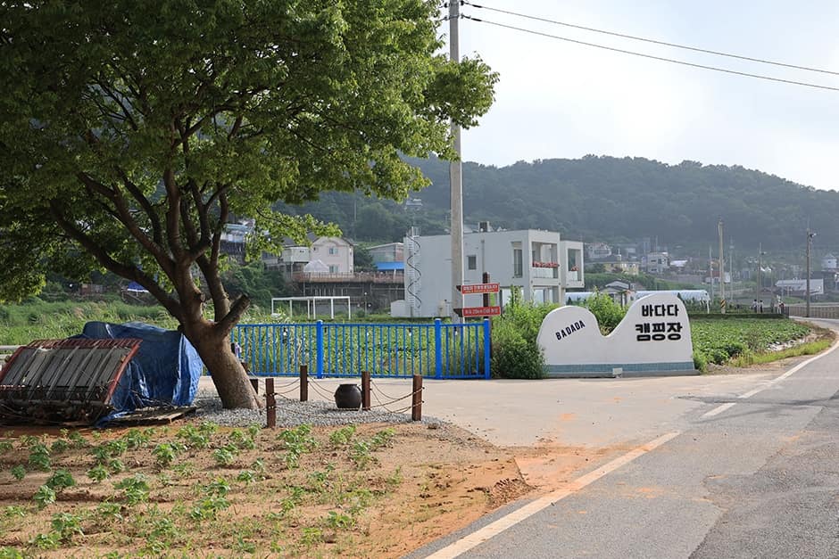 인천_강화군_바다다캠핑장_전경 (15)