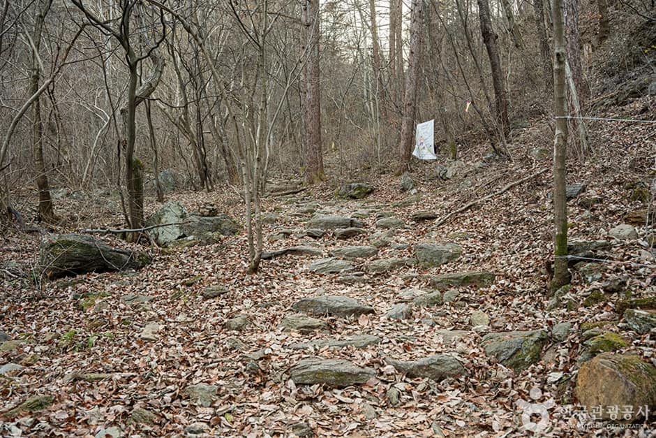 유명산 (2)
