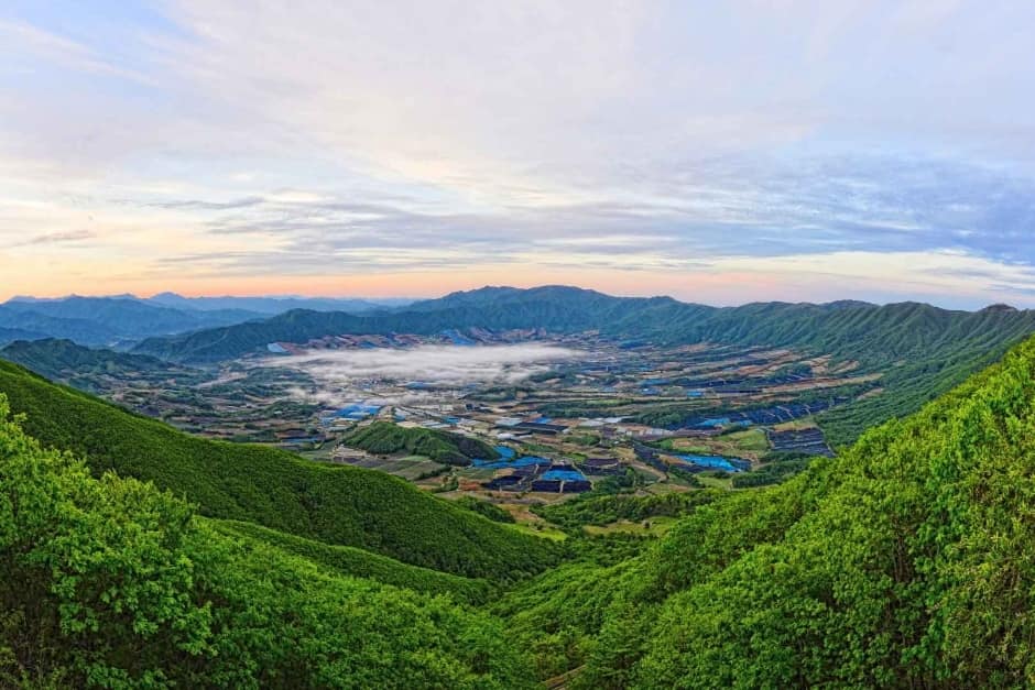 DMZ펀치볼둘레길 (2)