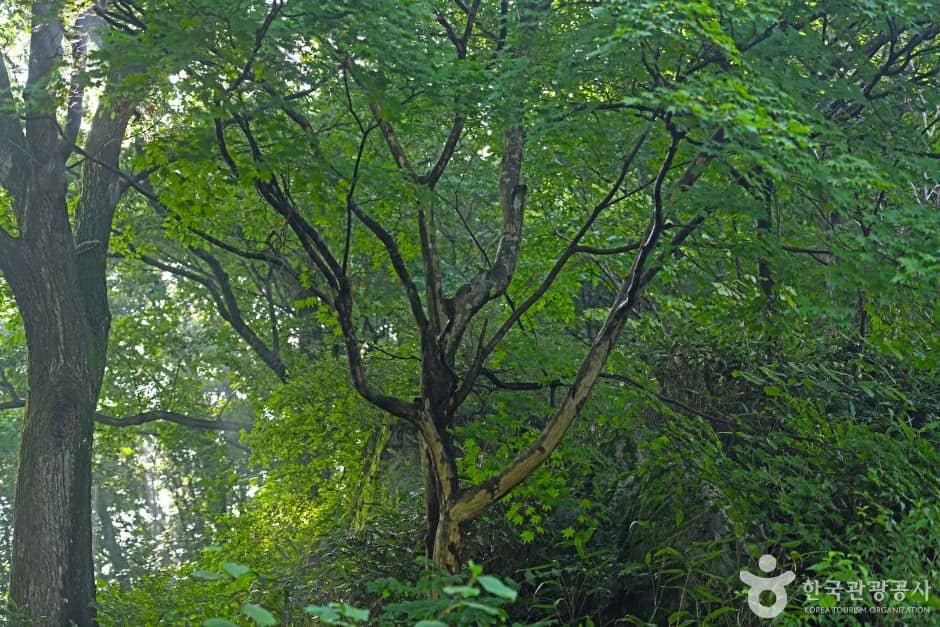 전북_임실_상이암(임실) (7)