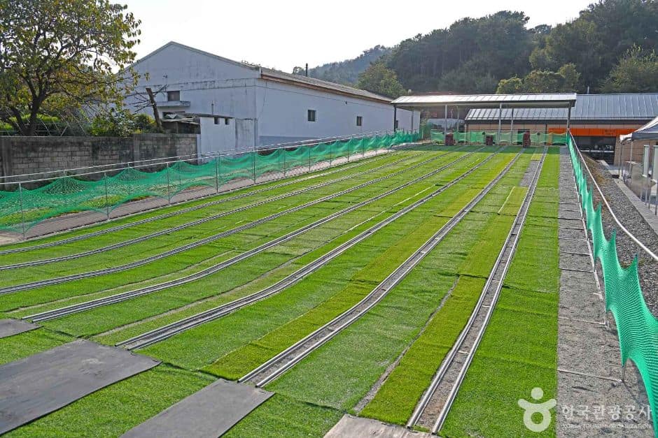 공주_공주치즈스쿨 (7)