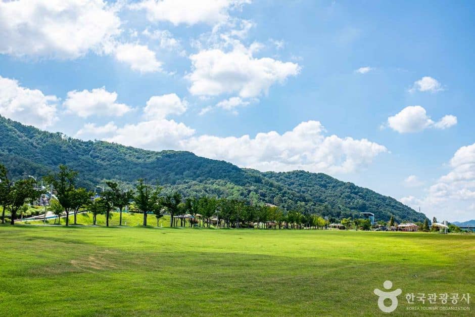 칠곡_칠곡보 생태공원 (1)