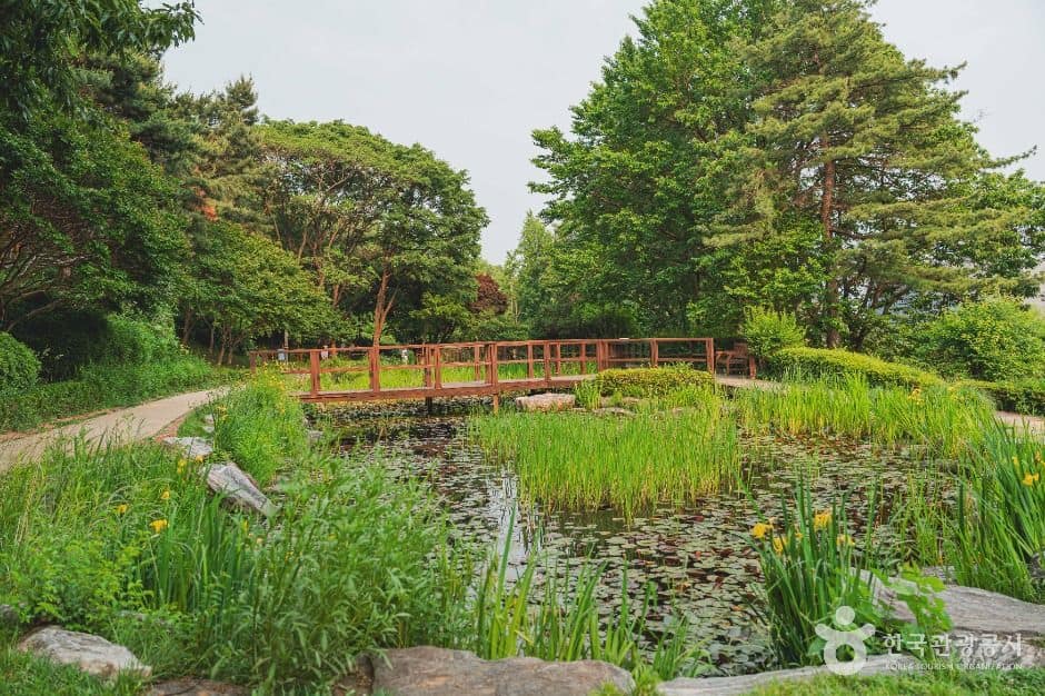 서울_남산 야외식물원 (1)