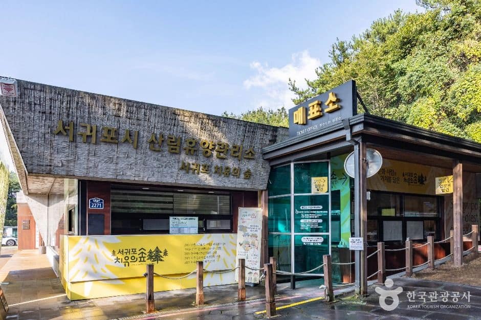제주_서귀포 치유의숲 (1)