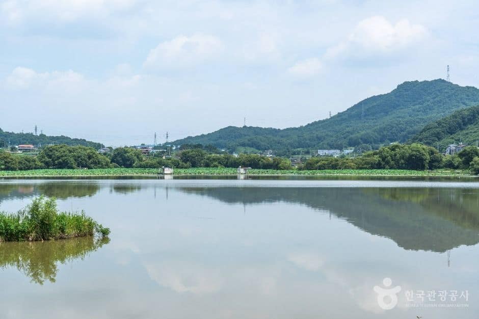 아산_월랑저수지 (6)