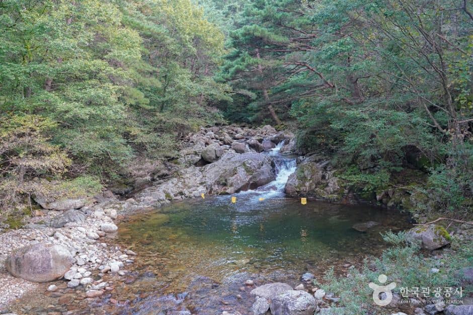 무주_칠연계곡 (1)
