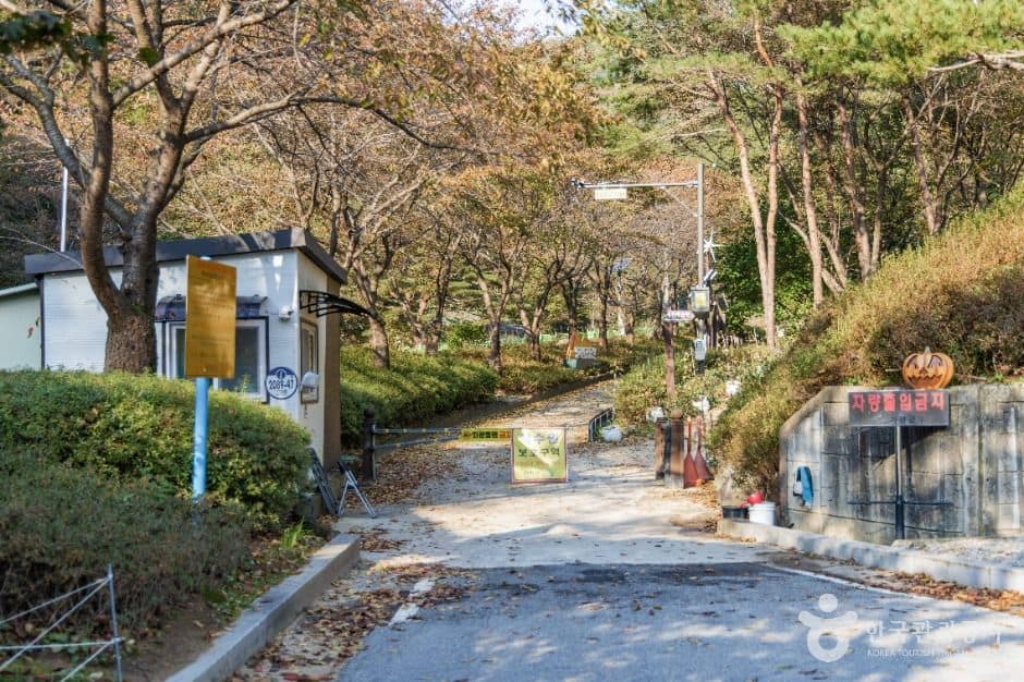 가평_명지계곡 (7)