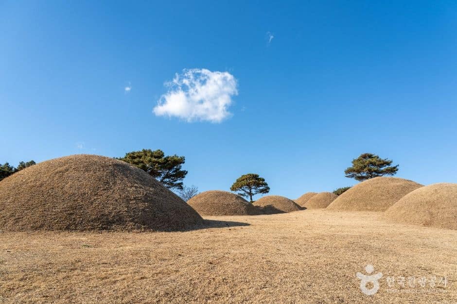 합천_합천 옥전 고분군 (6)